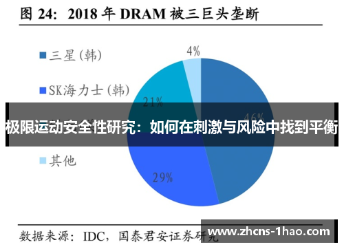 极限运动安全性研究：如何在刺激与风险中找到平衡