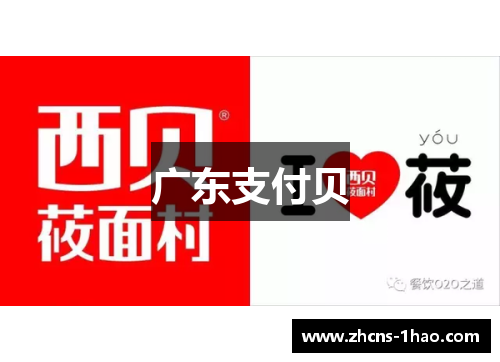 广东支付贝