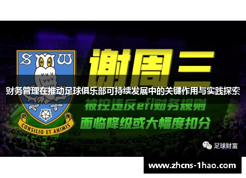 财务管理在推动足球俱乐部可持续发展中的关键作用与实践探索 财务管理在推动足球俱乐部可持续发展中的关键作用与实践探索