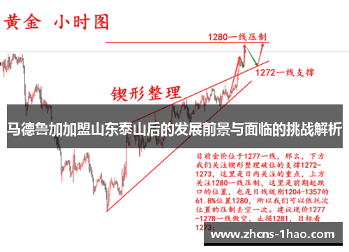 马德鲁加加盟山东泰山后的发展前景与面临的挑战解析