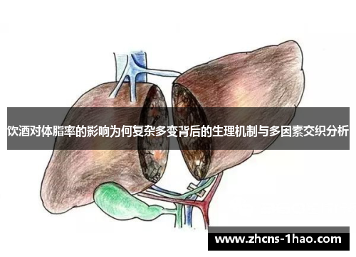 饮酒对体脂率的影响为何复杂多变背后的生理机制与多因素交织分析